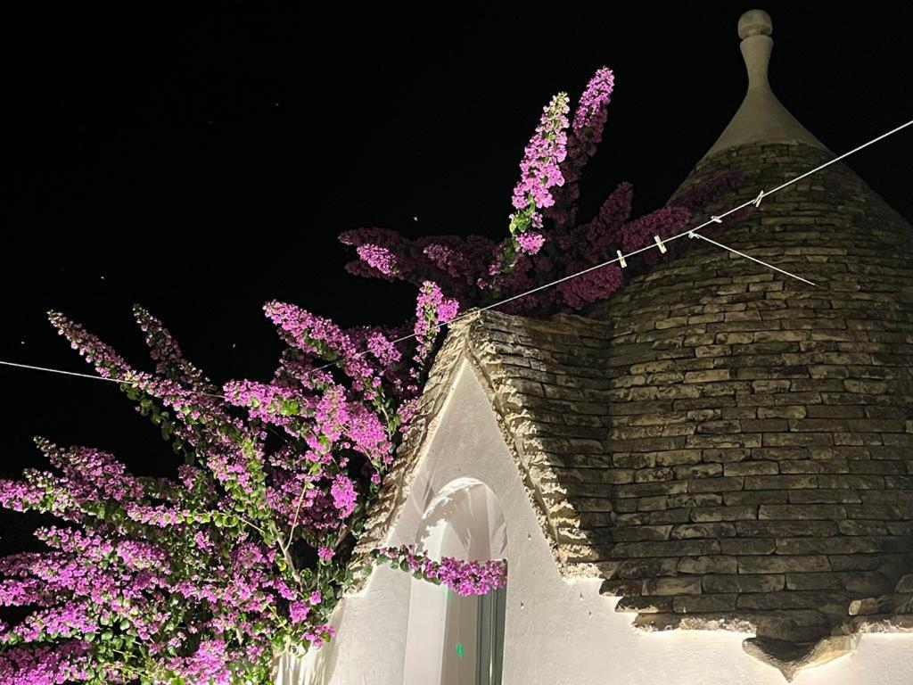 Trulli Harmonia Con Piscina - Alberobello Eksteriør billede